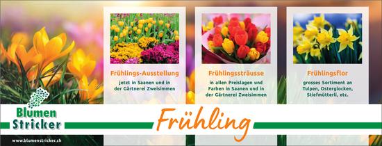 Blumen Stricker, Saanen & Zweisimmen - Frühlings-Ausstellung