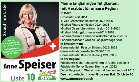 Anne Speiser, Deshalb wieder in den Grossen Rat, 2x Liste 10