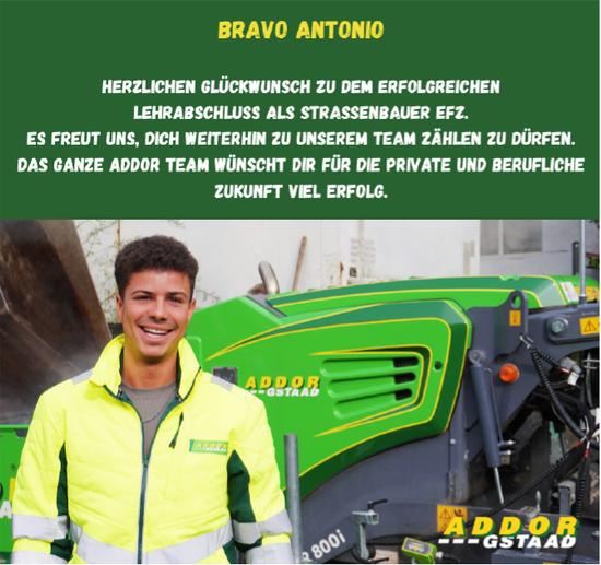 ADDOR Gstaad, Bravo Antonio