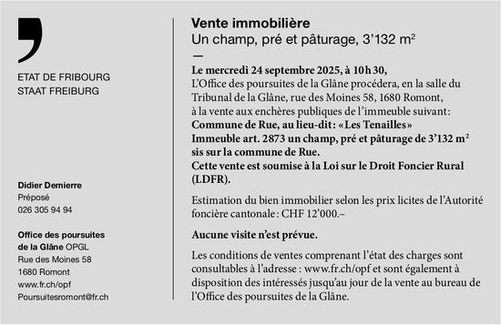 Vente immobilière d'un champ, Romont, à vendre