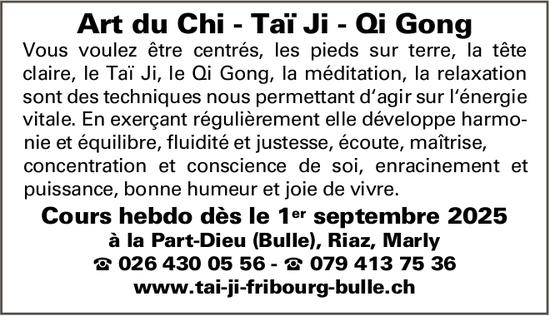 Art du Chi - Taï Ji - Qi Gong, Cours hedbo dès le 1er septembre 2025 à la Part-Dieu (bulle), Riaz, Marly