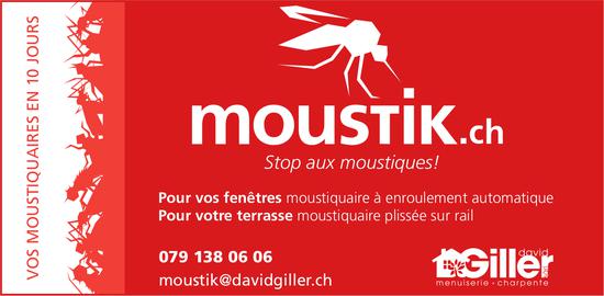 David Giller menuiserie - Stop aux moustiques!