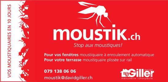 David Giller menuiserie - Stop aux moustiques!