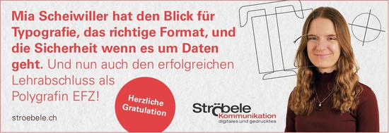 Ströbele Kommunikation, Abschlussprüfung bestanden!