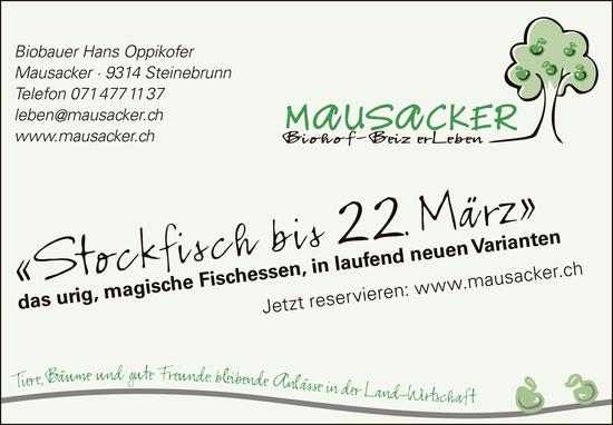 Stockfisch - das urige, magische Fischessen, 19. Februar - 22. März, Biohof Mausacker, Steinebrunn