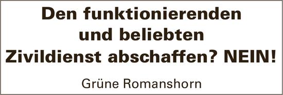 Grüne Romanshorn, Den funktionierenden und beliebten Zivildienst abschaffen? NEIN!