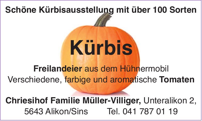 Chriesihof Familie Müller-Villiger, Alikon/Sins - Schöne Kürbisausstellung mit über 100 Sorten