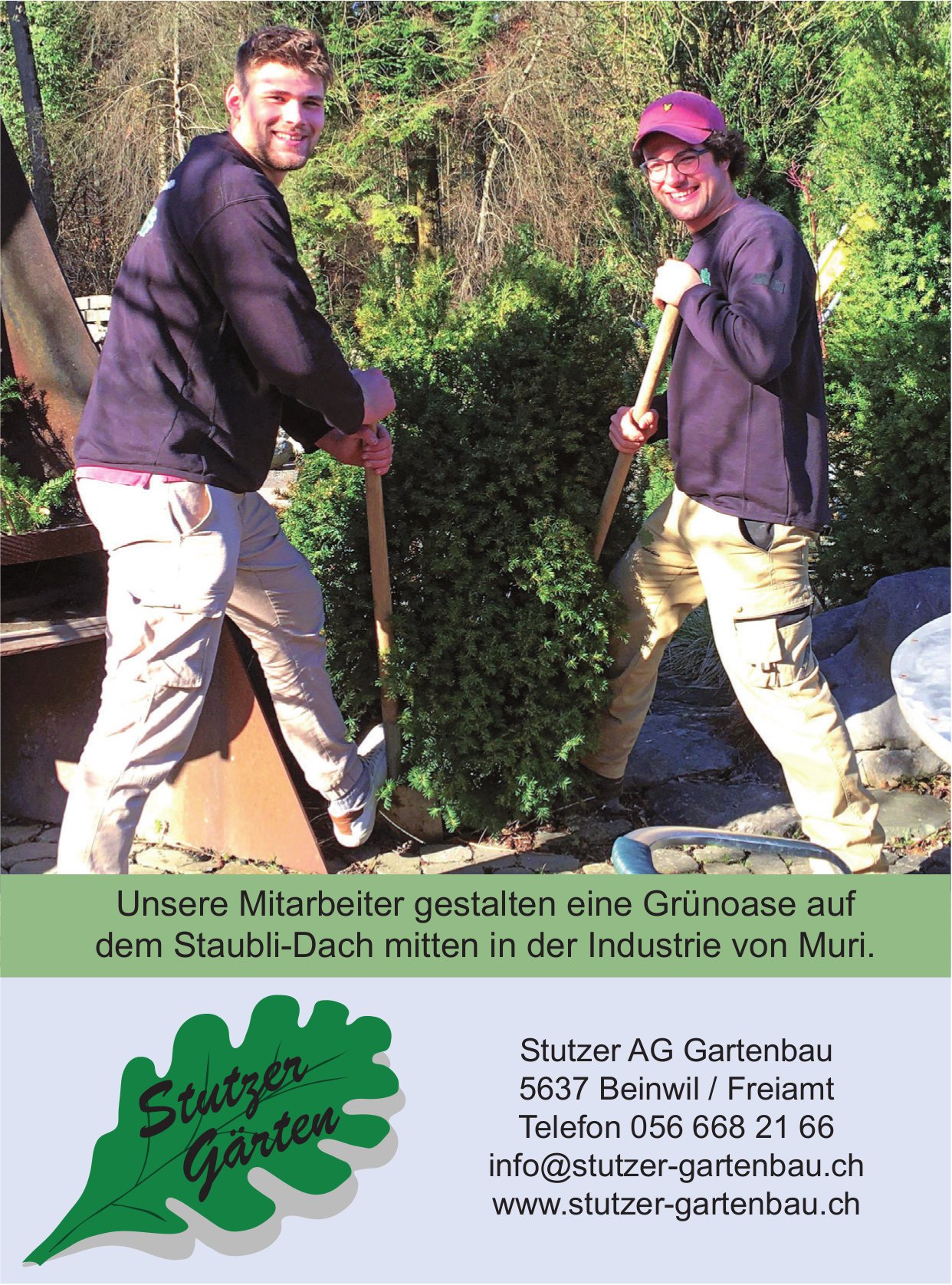Stutzer AG Gartenbau, Beinwil - Unsere Mitarbeiter gestalten eine Grünoase auf dem Staubli-Dach