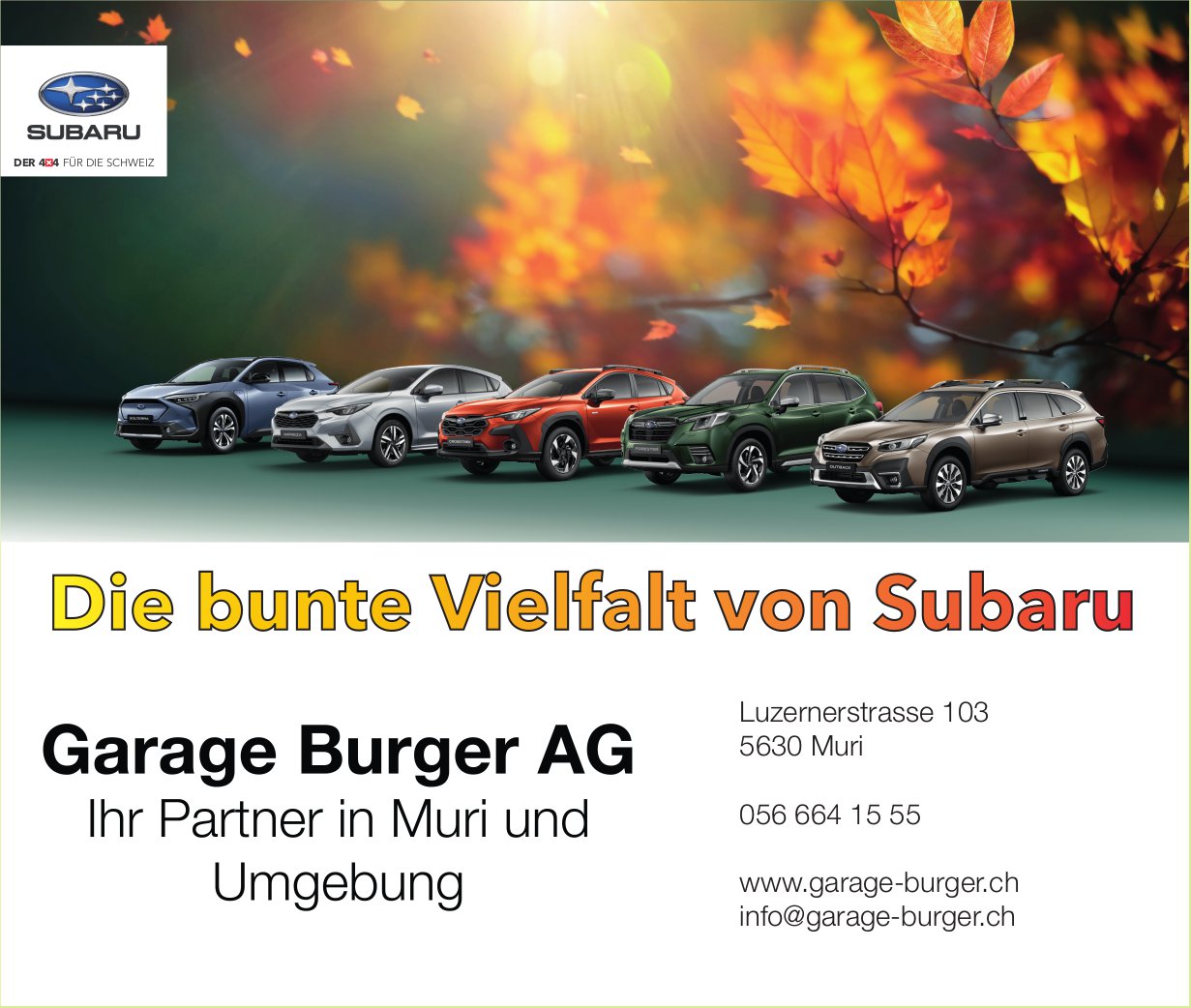 Garage Burger AG, Muri - Die bunte Vielfalt von Subaru