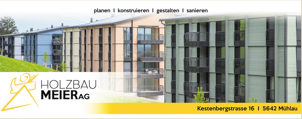 Holzbau Meier AG, Mühlau - planen, konstruieren,  gestalten,  sanieren