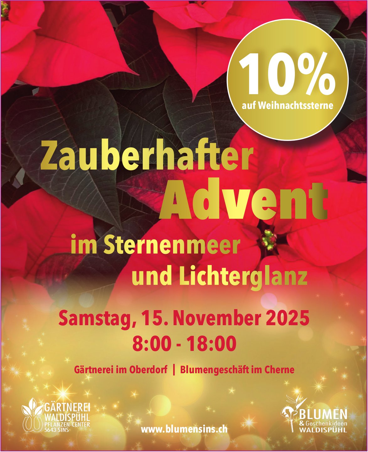 Blumen & Garten Waldispühl, Oberdorf - Zauberhafter Advent