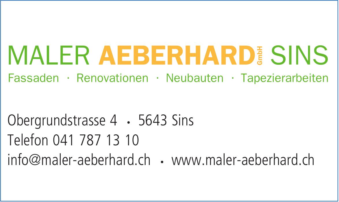 Maler Aeberhard, Sins