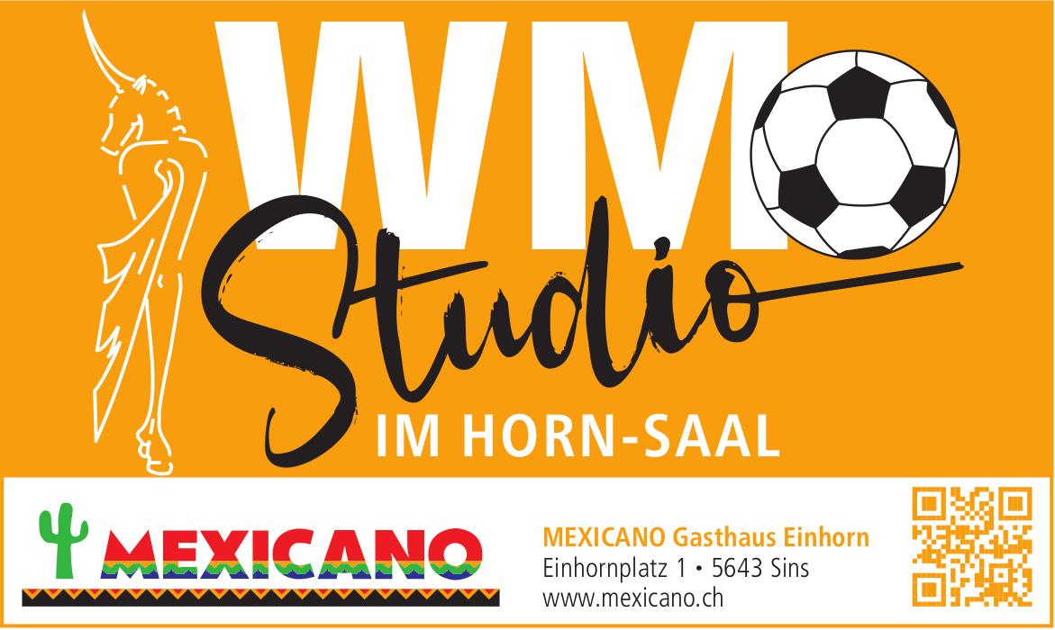 MEXICANO Gasthaus Einhorn, Sins - WM Studio