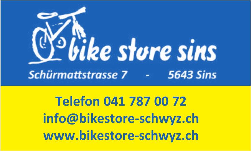 Bike Store, Sins