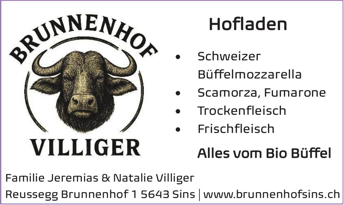 Brunnenhof Villiger, Sins - Alles vom Bio Büffel