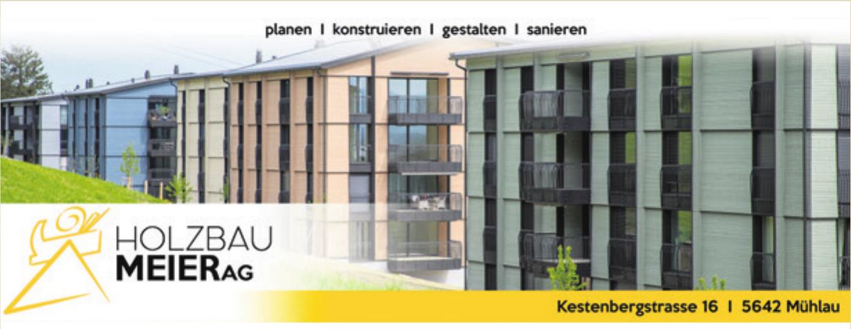 HOLZBAU MEIER AG, Mühlau - planen | konstruieren | gestalten | sanieren