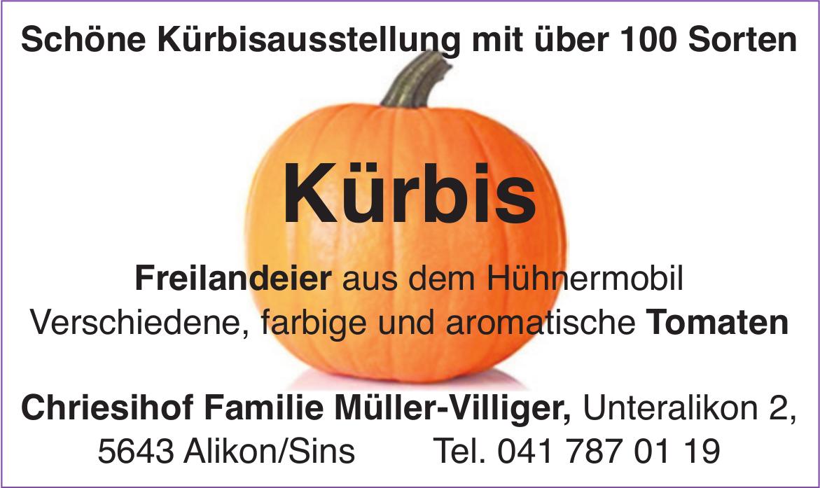 Chriesihof Familie Müller-Villiger, Alikon/Sins - Schöne Kürbisausstellung mit über 100 Sorten