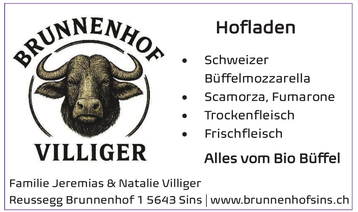 Brunnenhof Villiger, Sins - Alles vom Bio Büffel