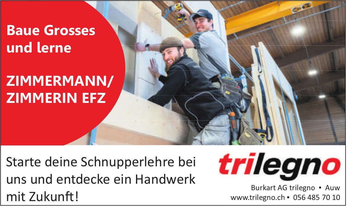 Schnupperlehre als ZIMMERMANN/ZIMMERIN EFZ, Burkart AG trilegno, Auw, zu vergeben