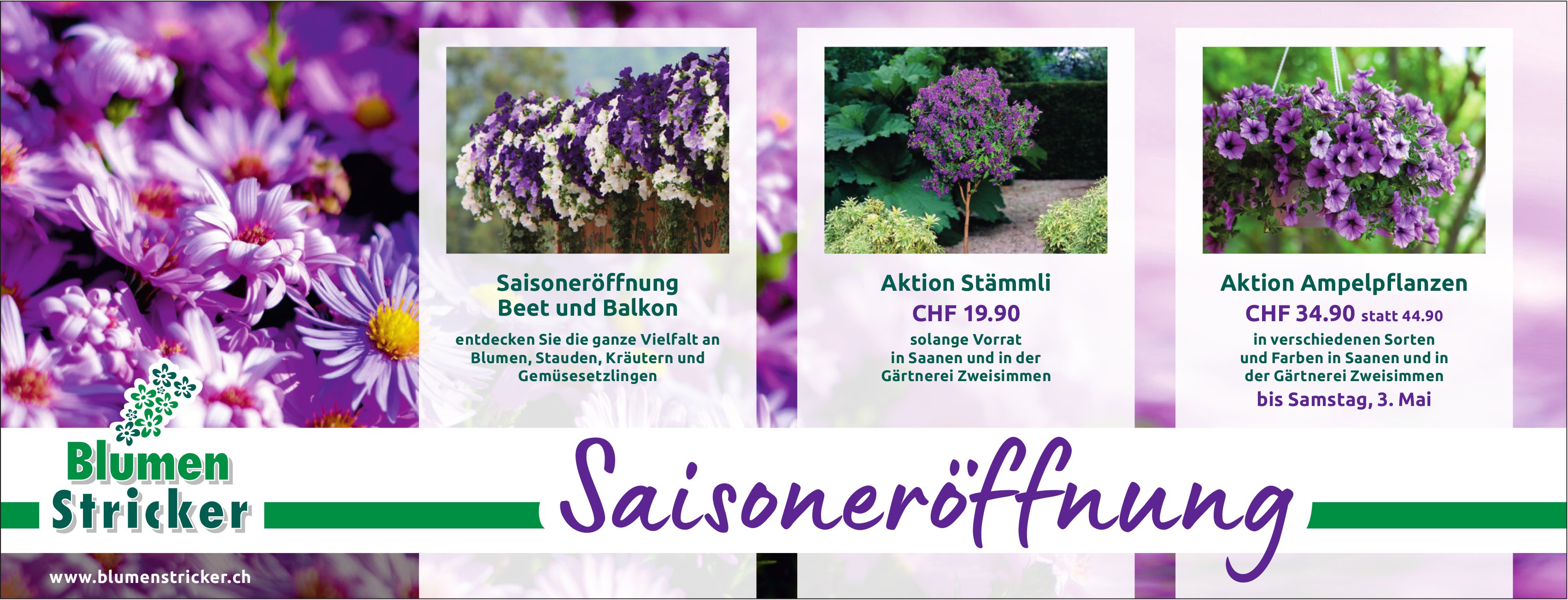Blumen Stricker, Saanen & Zweisimmen - Saisoneröffnung
