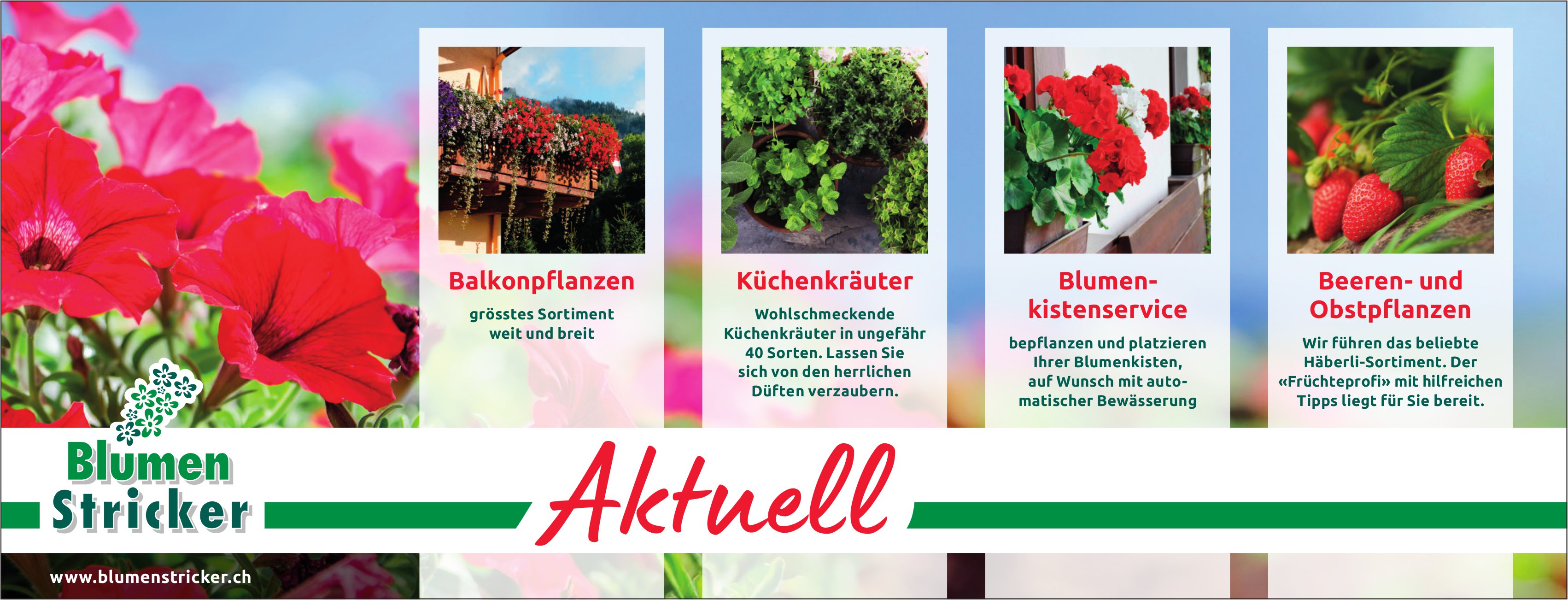 Blumen Stricker, Saanen & Zweisimmen - Aktuell