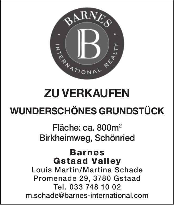 WUNDERSCHÖNES GRUNDSTÜCK, Gstaad, zu verkaufen