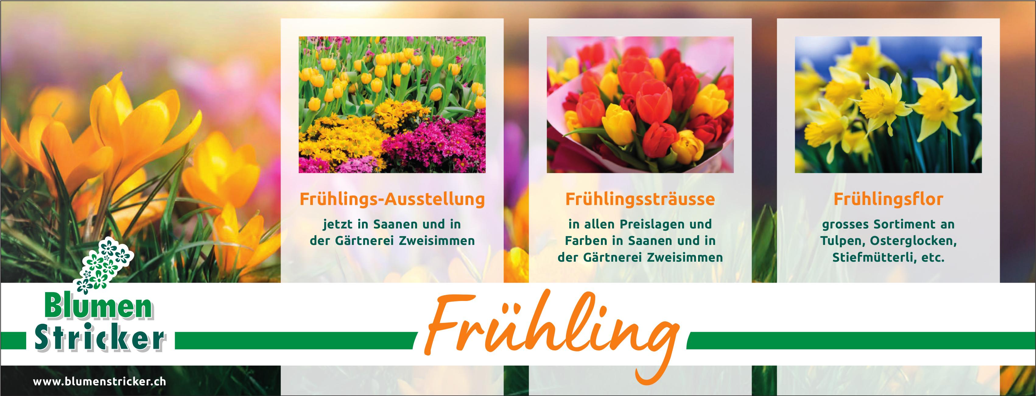 Blumen Stricker, Saanen & Zweisimmen - Frühlings-Ausstellung