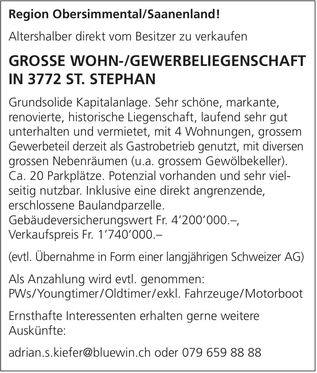 GROSSE WOHN-/GEWERBELIEGENSCHAFT IN 3772 ST. STEPHAN, zu verkaufen
