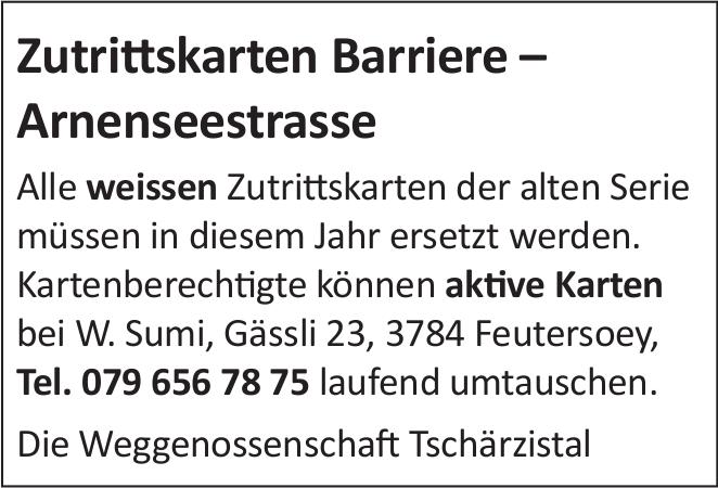 Die Weggenossenschaft Tschärzistal, Feutersoey - Zutrittskarten Barriere – Arnenseestrasse