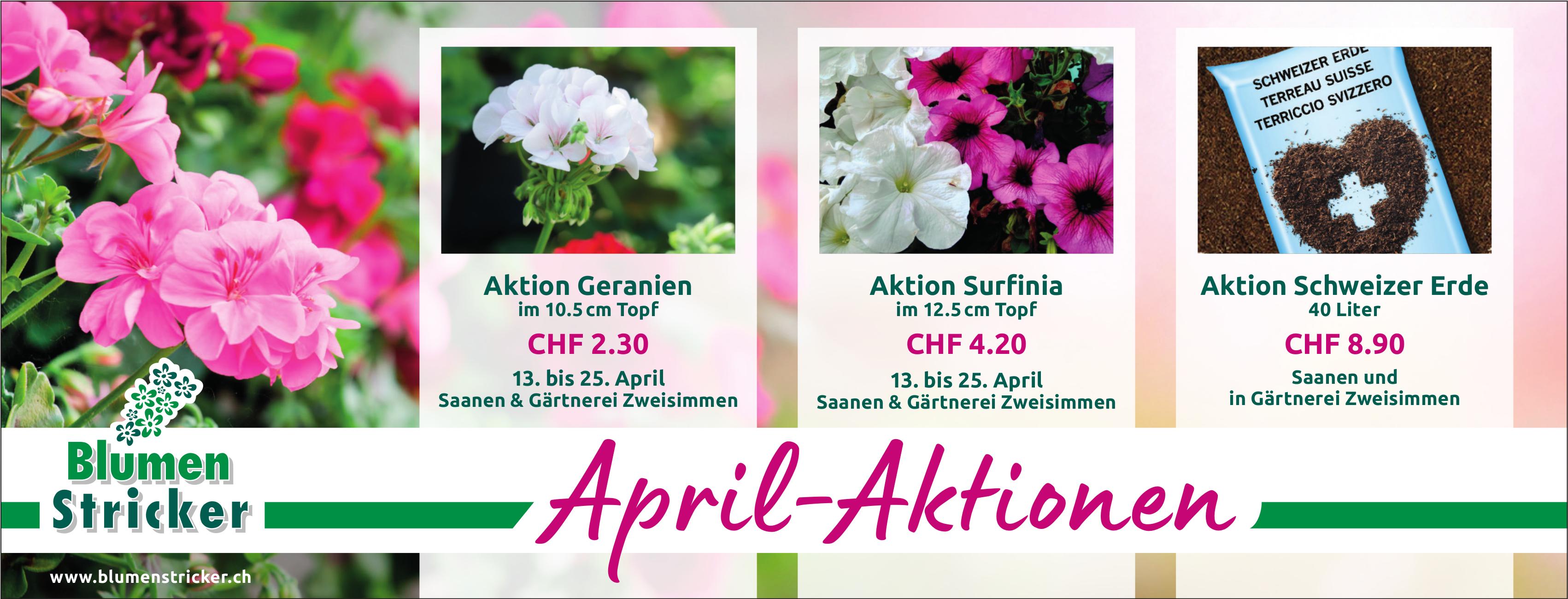 Blumen Stricker, April-Aktionen