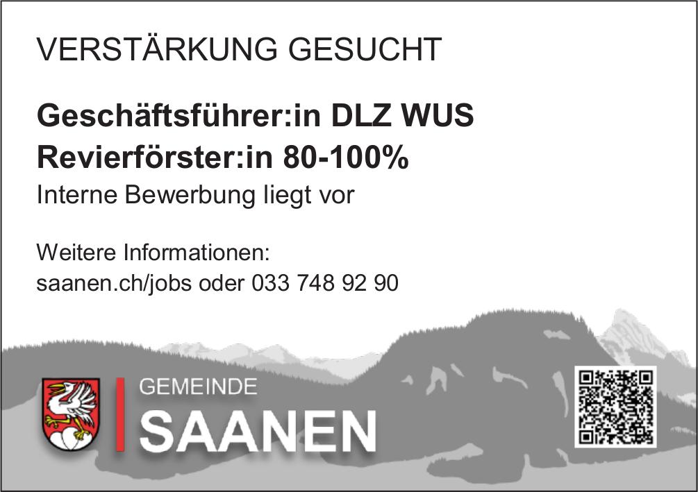 Geschäftsführer:in DLZ WUS Revierförster:in 80-100%, GEMEINDE SAANEN, Gesucht
