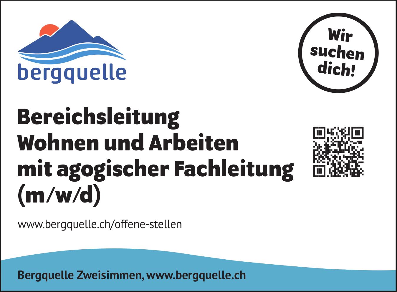Bereichsleitung Wohnen und Arbeiten mit agogischer Fachleitung (m/w/d), bergquelle, Gesucht