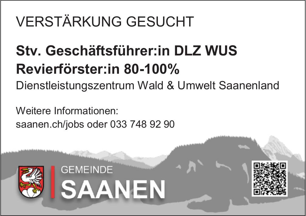 Stv. Geschäftsführer:in DLZ WUS Revierförster:in 80-100%, Gemeinde Saanen, Gesucht
