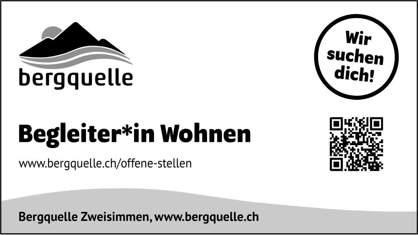 Begleiter*in Wohnen, Bergquelle Zweisimmen, Gesucht