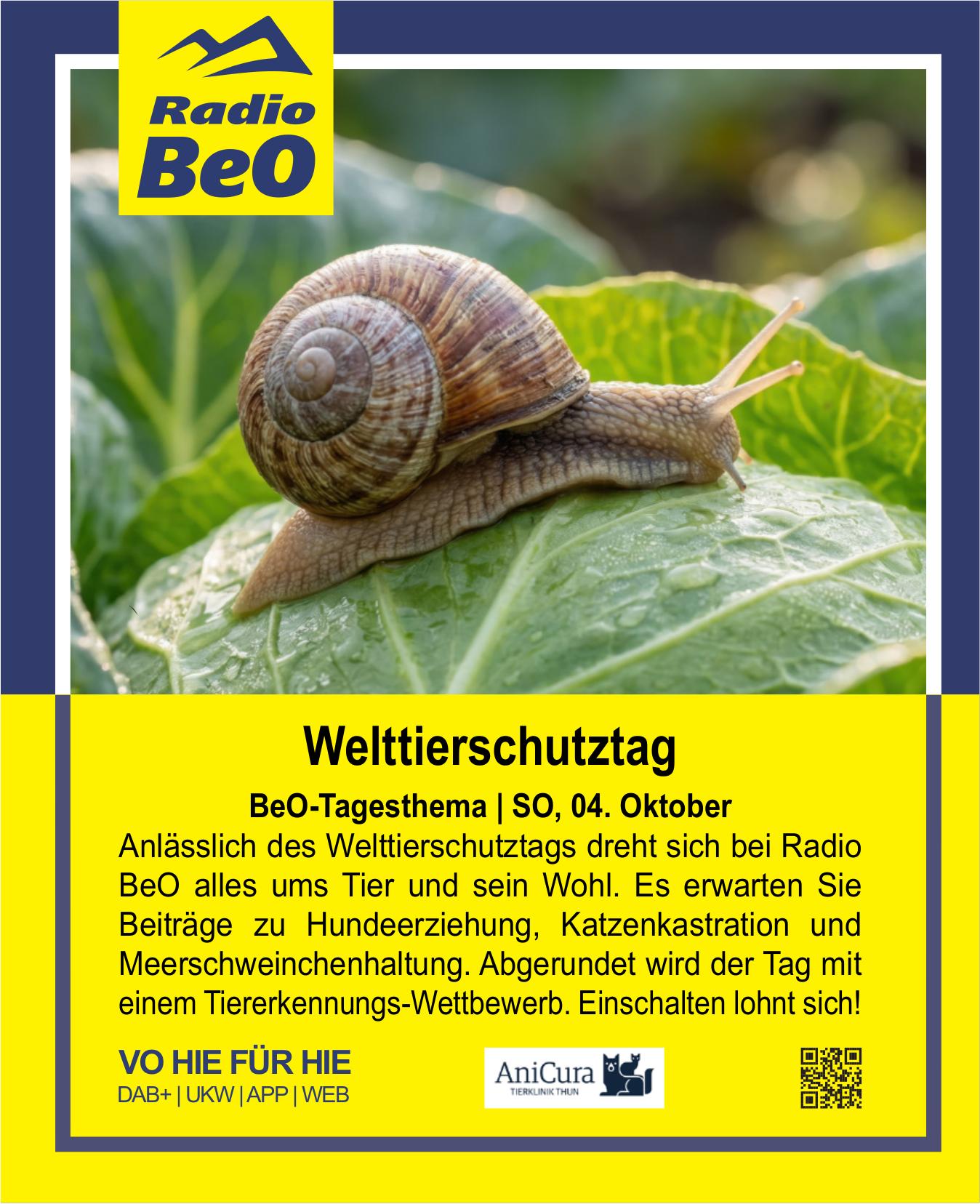 Radio BeO, Welttierschutztag