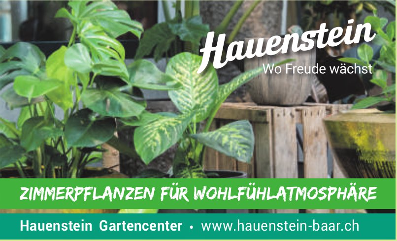 Hauenstein Gartencenter, Baar - Zimmerpflanzen für Wohlfühlatmosphäre