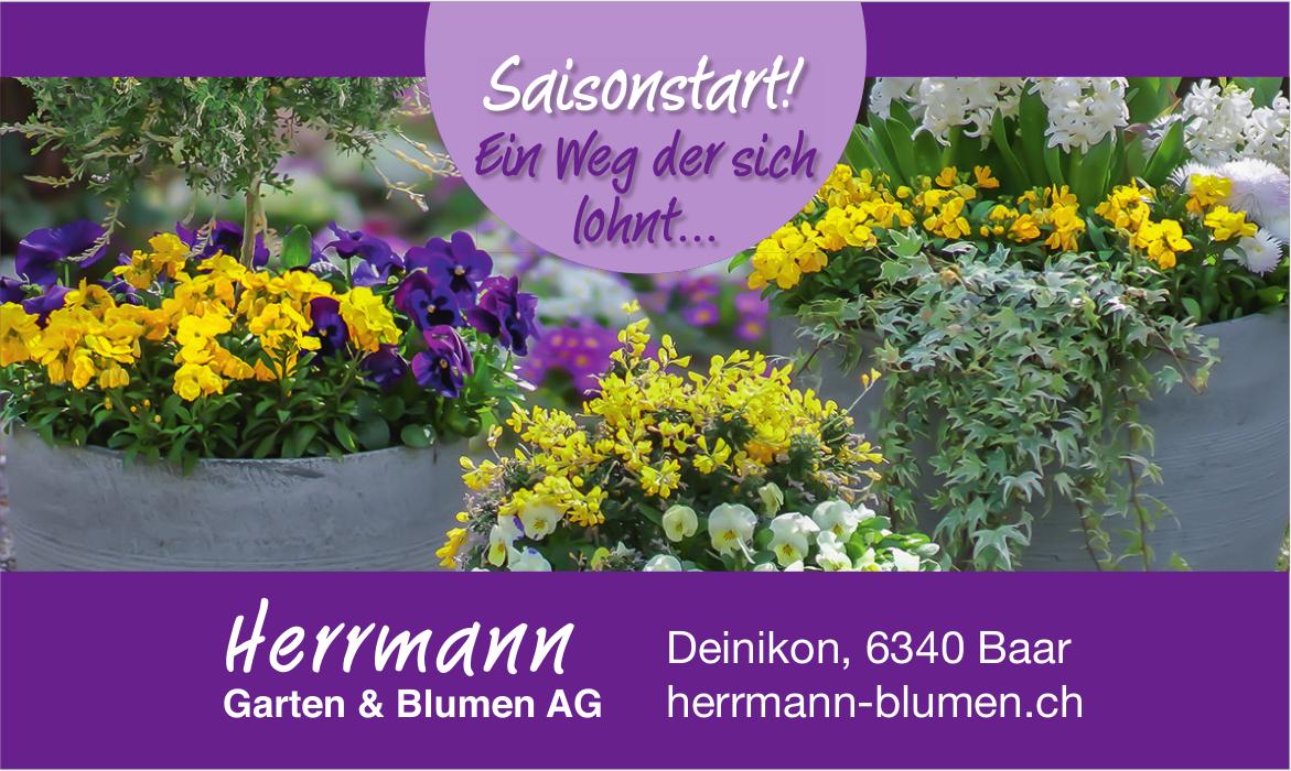 Herrmann Garten & Blumen AG, Baar - Saisonstart! Ein Weg der sich lohnt...