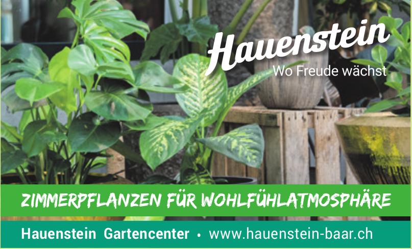 Hauenstein Gartencenter, Baar - Zimmerpflanzen für Wohlfühlatmosphäre
