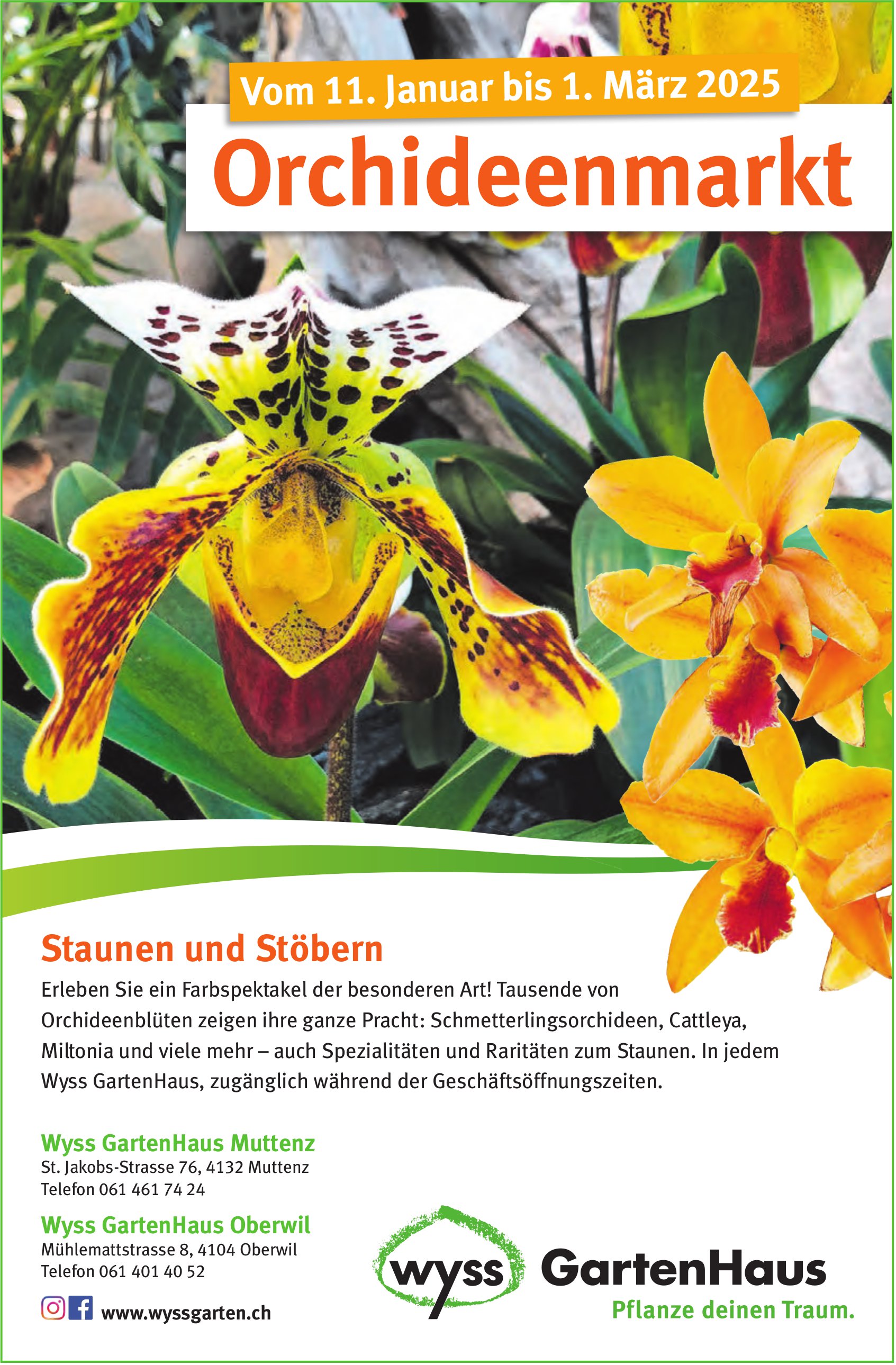 Orchideenmarkt, 11. Januar - 1. März, Muttenz