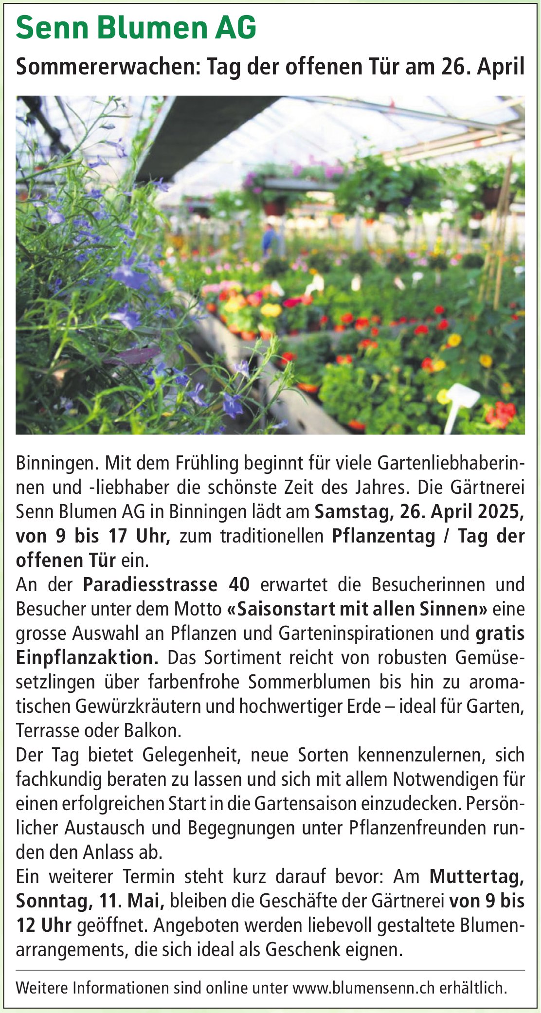 Gärtnerei Senn Blumen AG, Binningen - Sommererwachen: Tag der offenen Tür am 26. April