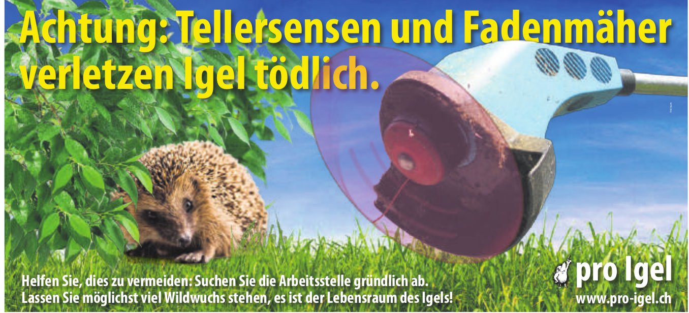Pro Igel, Achtung: Tellersensen und Fadenmäher verletzen Igel tödlich.