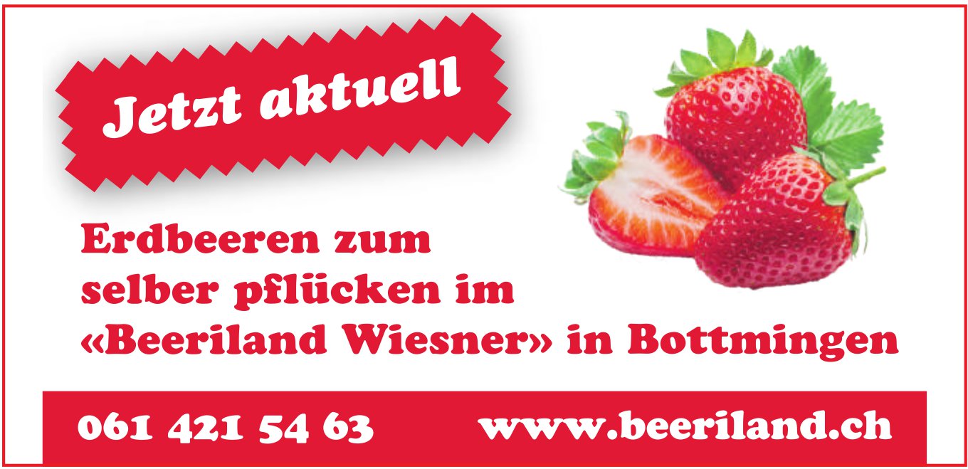 «Beeriland Wiesner», Bottmingen - Erdbeeren zum selber pflücken