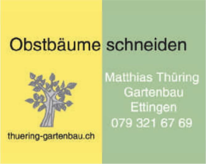 Matthias Thüring Gartenbau, Ettingen - Obstbäume schneiden
