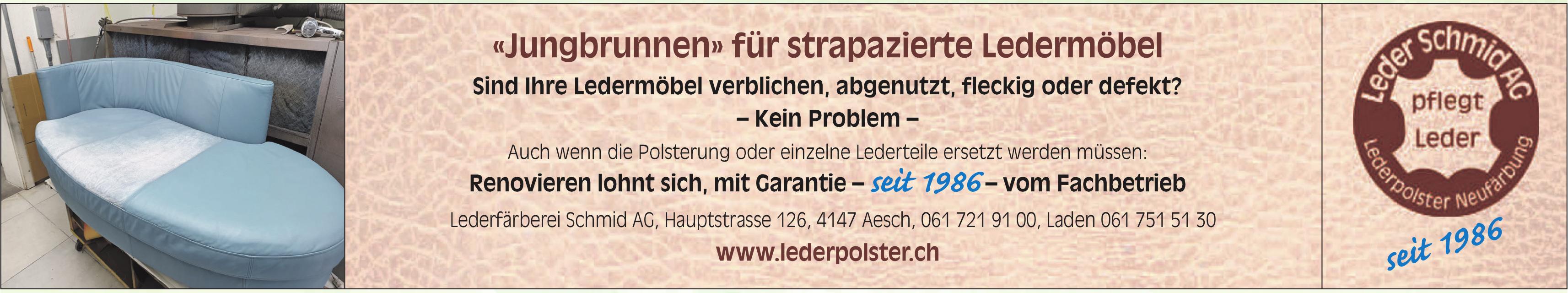 Lederfärberei Schmid AG, Aesch - «Jungbrunnen» für strapazierte Ledermöbel