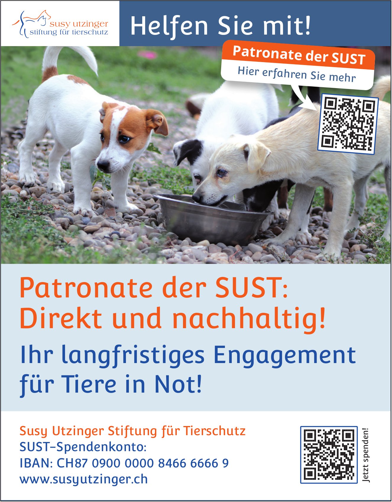 Susy Utzinger Stiftung für Tierschutz, Patronate der Sust: Direkt und nachhaltig!