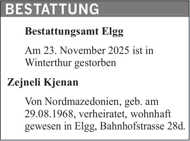 Kjenan Zejneli, November 2025 / TA