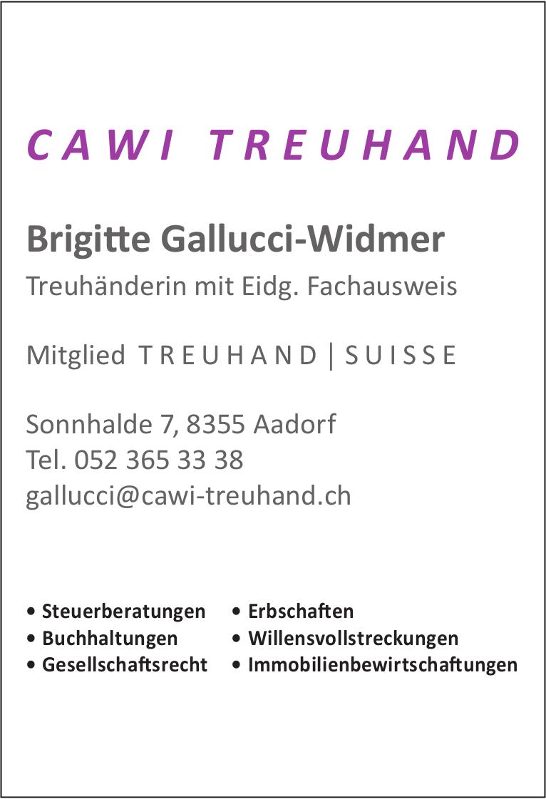 Cawi Treuhand, Brigitte Gallucci-Widmer, Aadorf - Steuerberatung,  Buchhaltungen,  Gesellschaftsrecht,  Erbschaften...