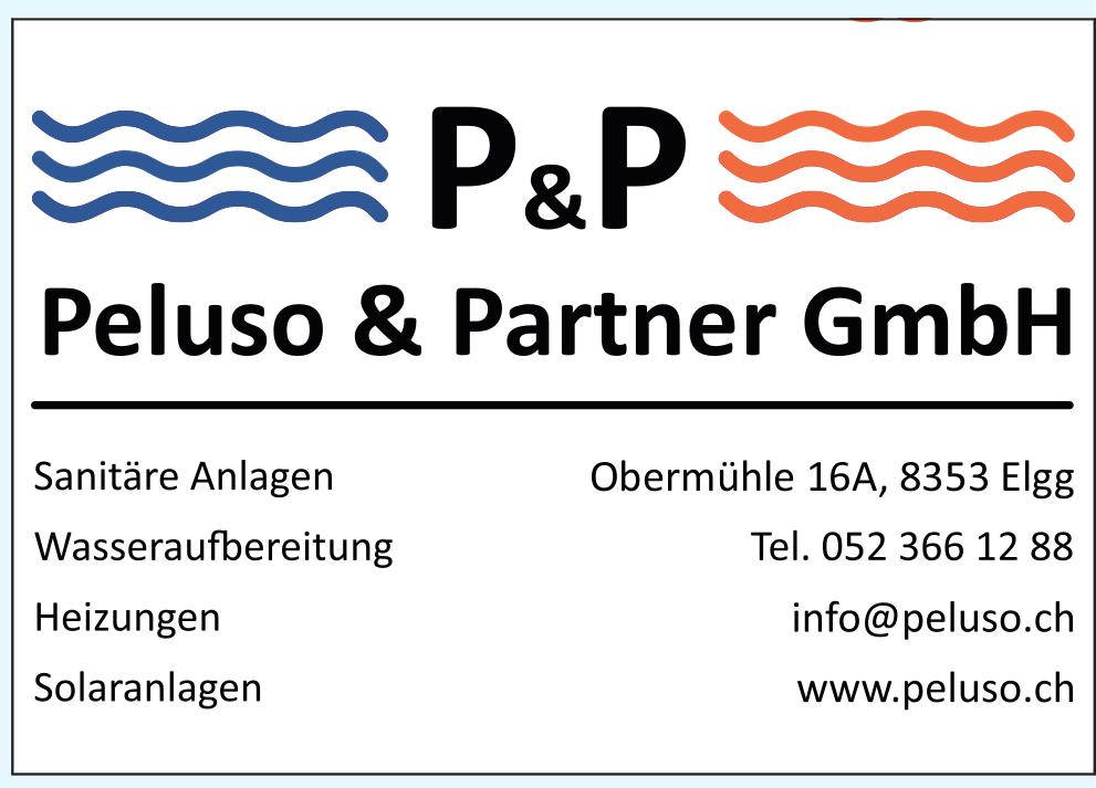 Peluso & Partner GmbH, Elgg - Sanitäre Anlagen