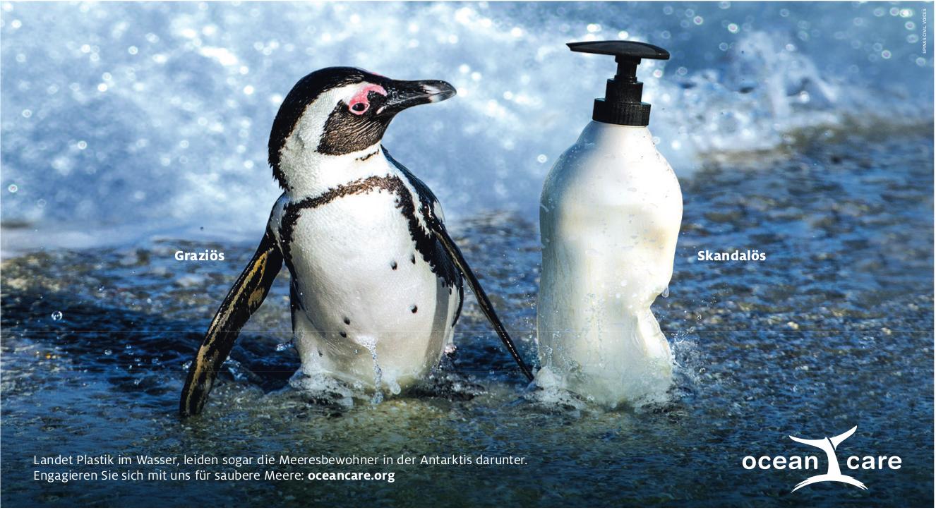 Ocean Care - Landet Plastik im Wasser, leiden sogar die Meeresbewohner in der Antarktis darunter