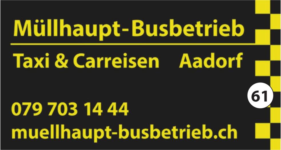Müllhaupt-Busbetrieb, Taxi & Carreisen